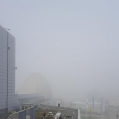 Strange it is, wandering through mists!
