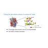 BIODIFF compound I BIODIFF compound I