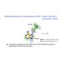 BIODIFF helicobacter MTAN BIODIFF helicobacter MTAN