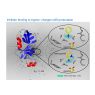 BIODIFF inhibitor binding BIODIFF inhibitor binding