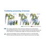 BIODIFF xylanase BIODIFF xylanase