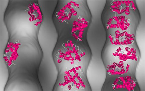 Proteine in Nanoporen